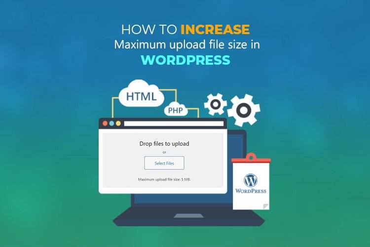 Maximize Your Site’s Potential: How to Increase WordPress Maximum Upload File Size